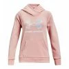 Under Armour Kids Rival Core Logo Hoodie Pink (676)