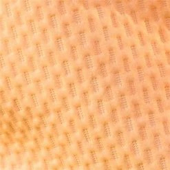 ABACUS Ladies Sunningdale Full Zip Jacket Apricot -Cheap Footwear Store P 2380ABACUSJACKETAPRICOTLADIES 5 L