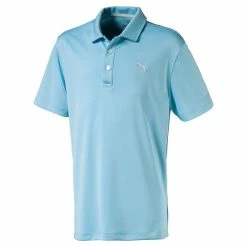 Puma Junior - Boys Essential Pounce Golf Polo Turquoise