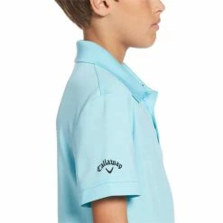 Callaway Junior - Boys Micro Hex Polo Shirt Blue (499) -Cheap Footwear Store P CGKS80L9CALLAWAYSHIRTBLUE499BOYS 2 L